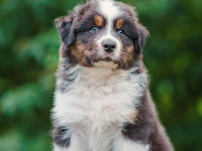 Vzácná návštěva