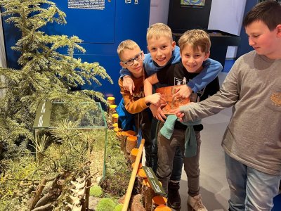 Krajina zavátá časem