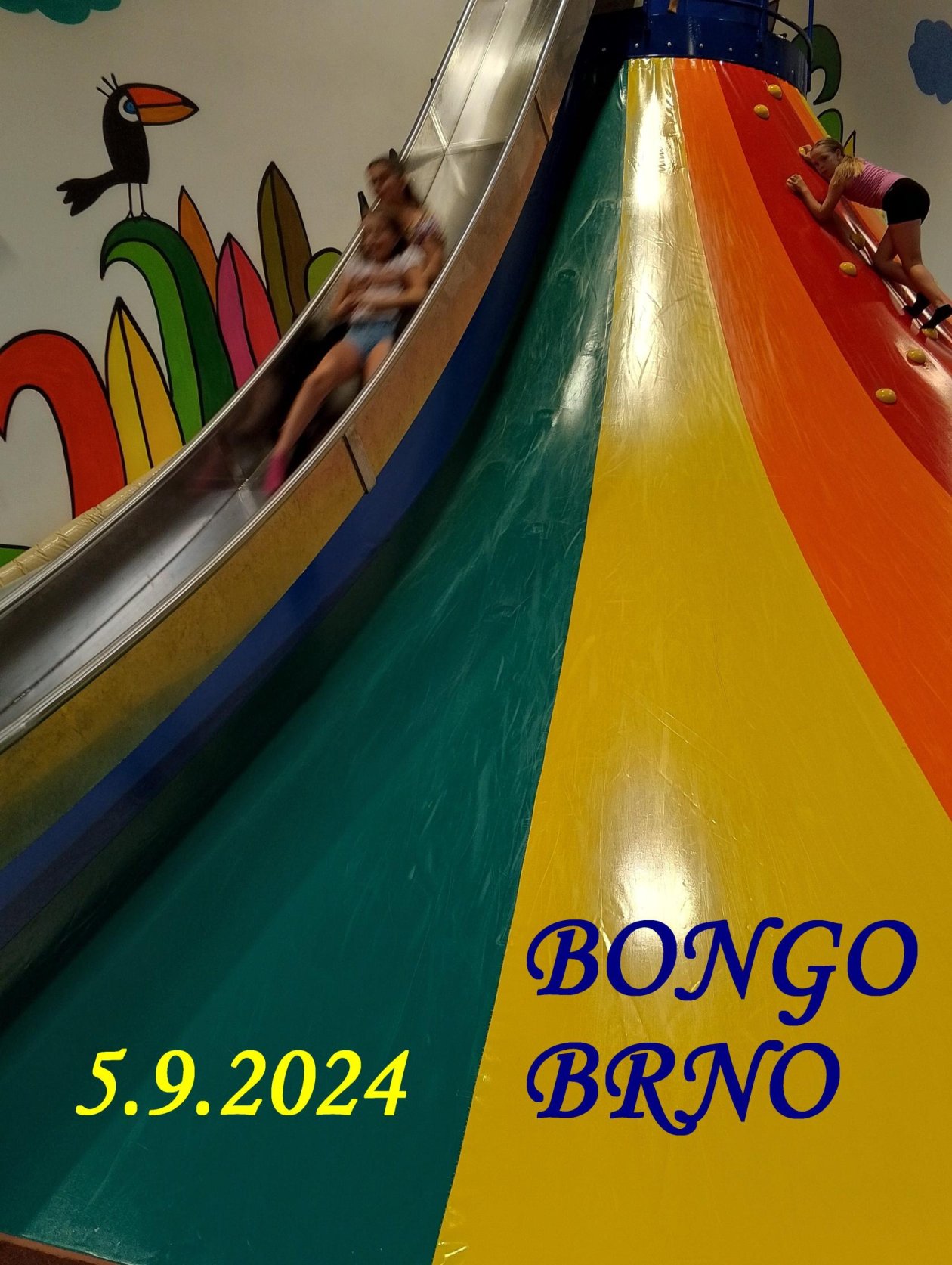 Zábavně sportovní odpoledne BONGO 5.9.2024