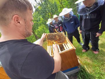 Beseda ke Světovému dni včel