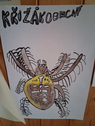 Broučci z 2.C