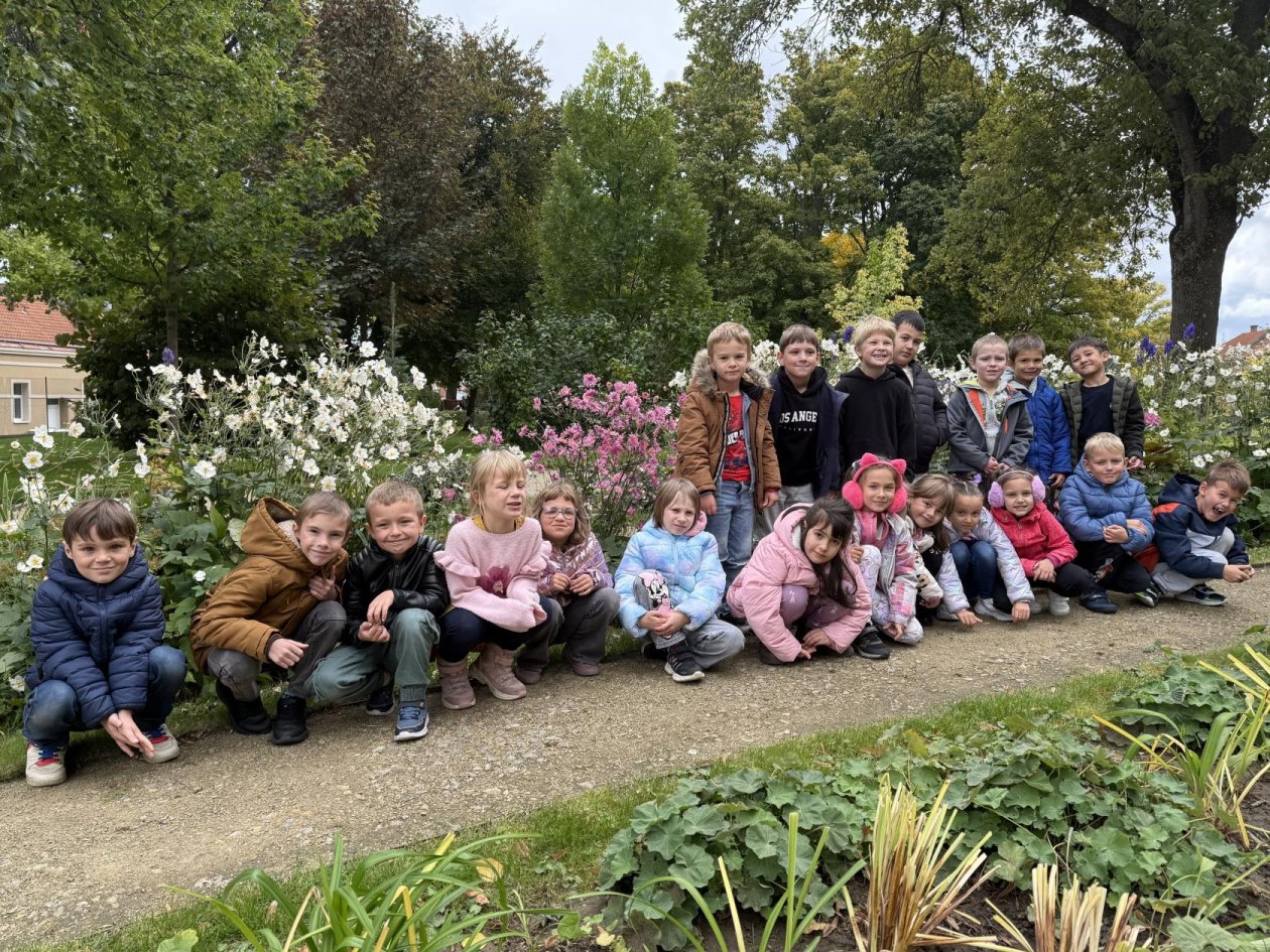 Náš hvězdný tým