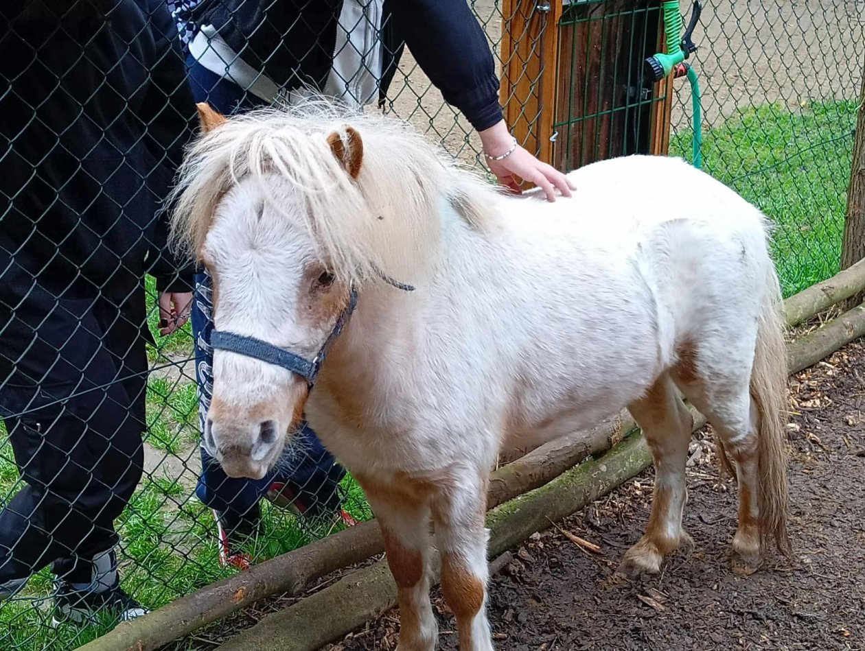 2 v 1 aneb podzimní den s Pohodáři