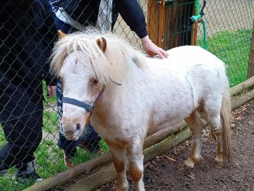 2 v 1 aneb podzimní den s Pohodáři