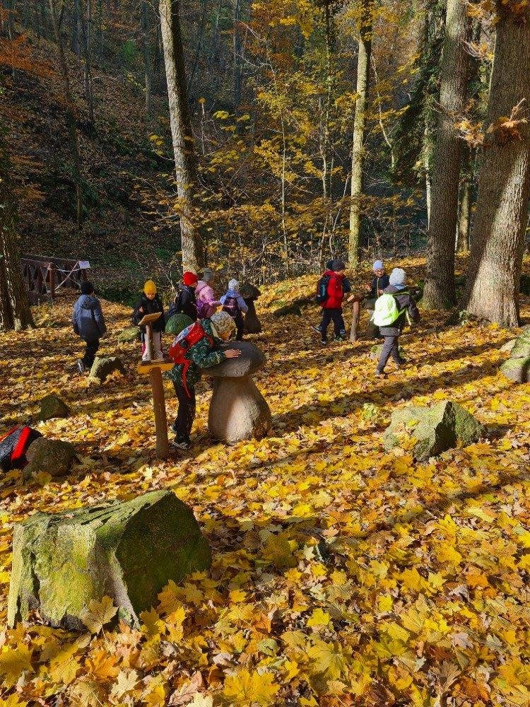 Lesní podzimní pedagogika