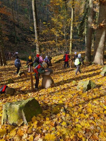 Lesní podzimní pedagogika