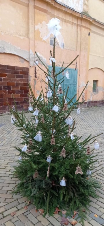 Vánoce klepou na dveře