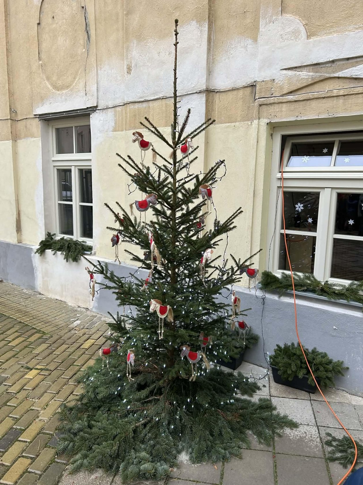 ✨Rozsvícení vánočního stromečku na školním dvoře