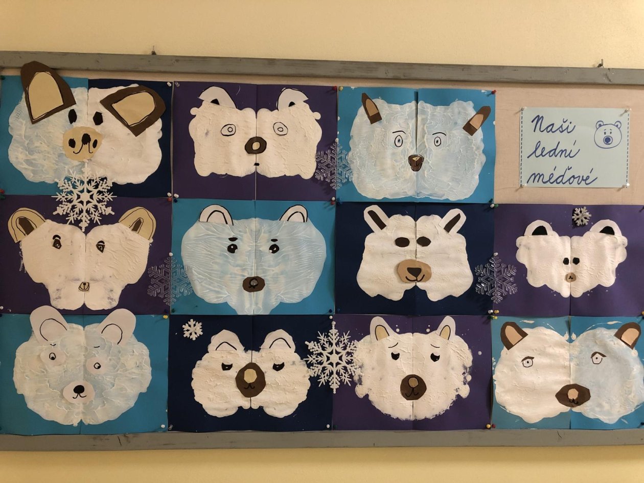 Lední medvěd = bílý král severu