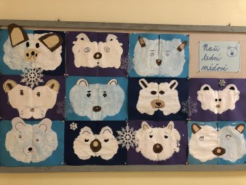 Lední medvěd = bílý král severu