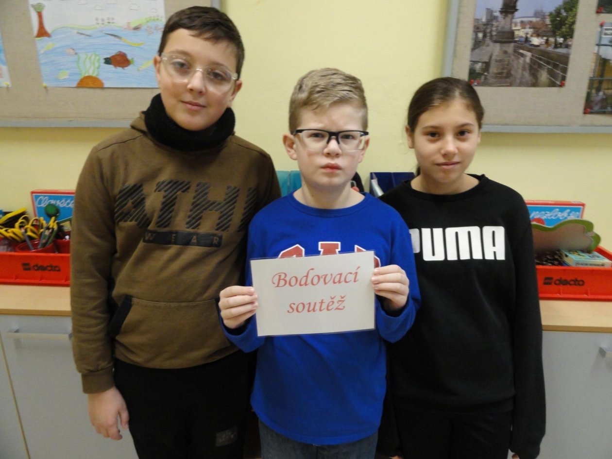 Lednové vyhlašování