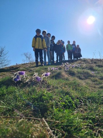 Výprava za konikleci byla úspěšná