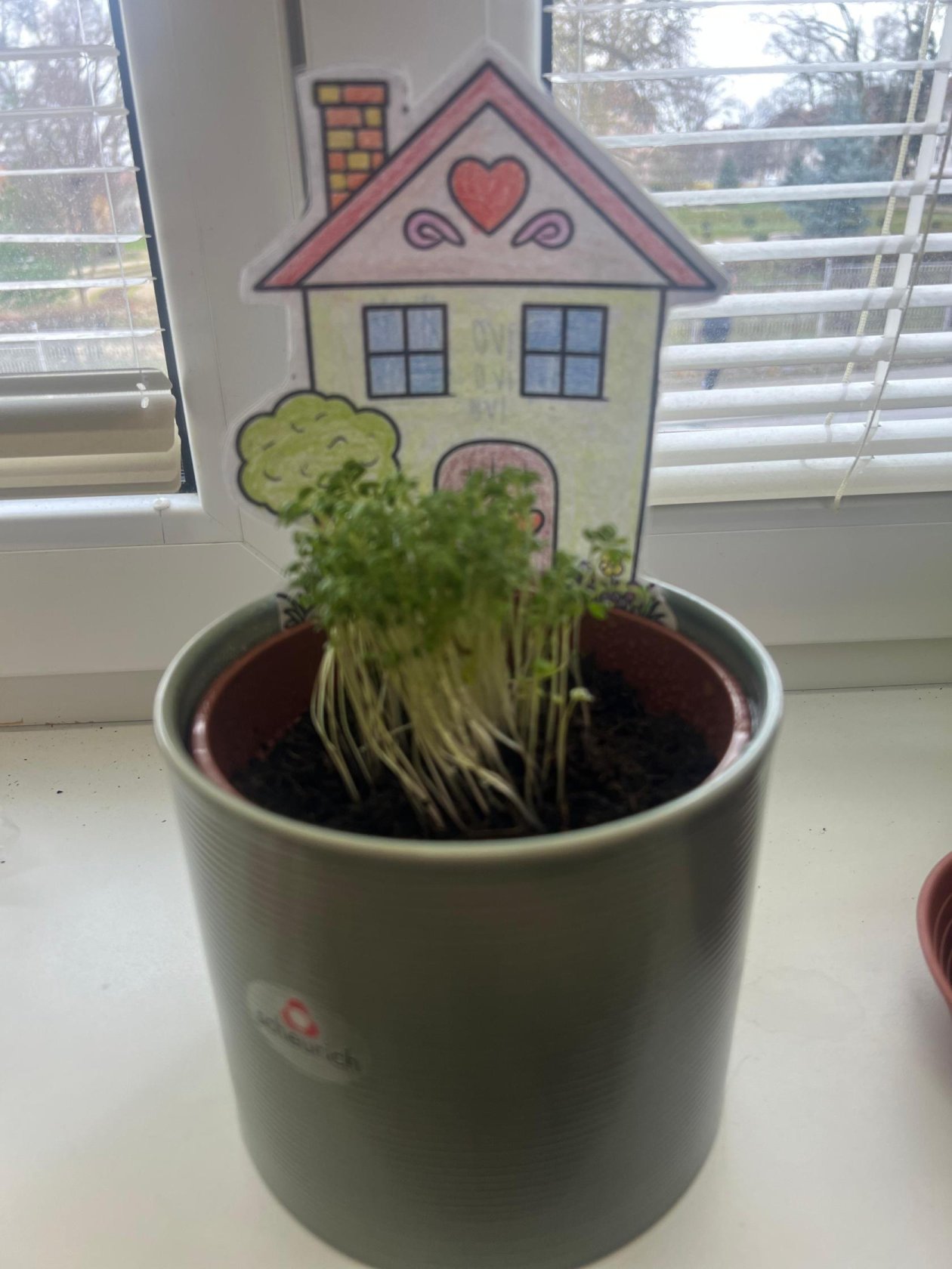 Jarní osení ve 4.A