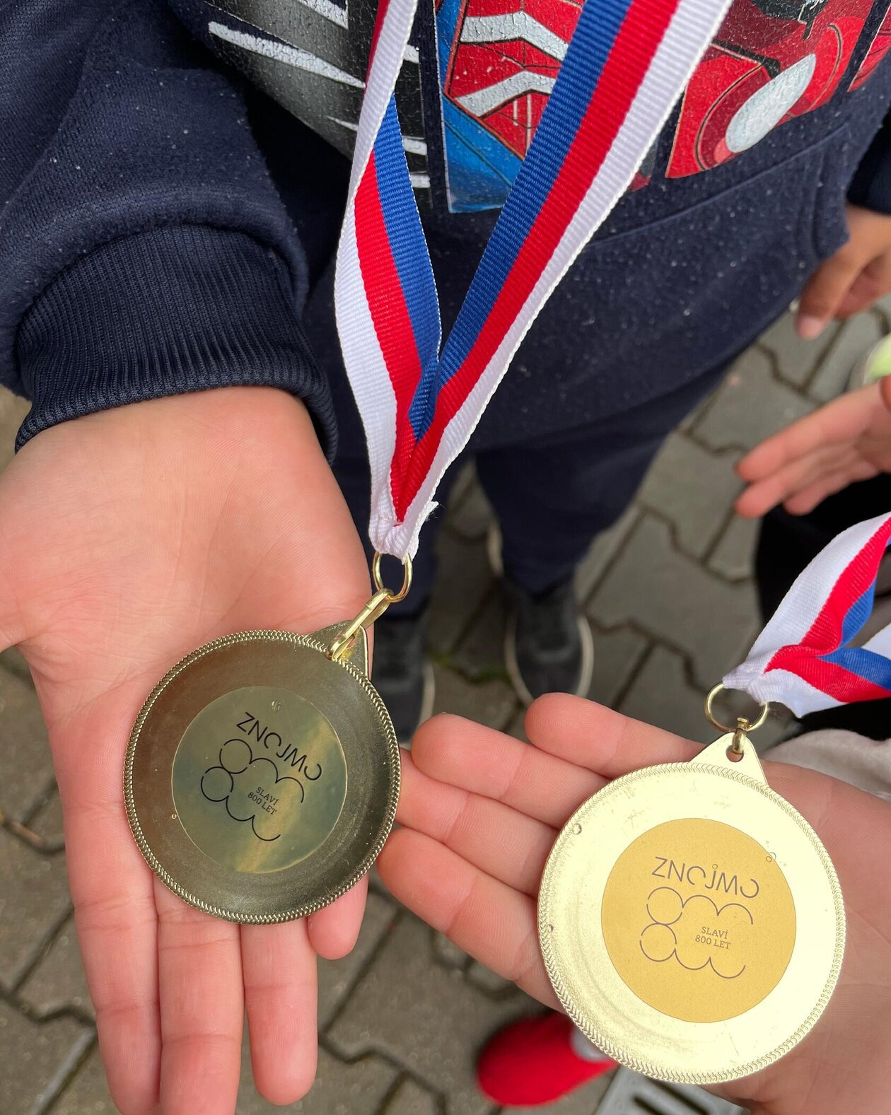 Naši žáci úspěšně reprezentovali školu na Znojemské tretře k 800. výročí města Znojma