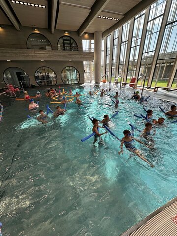 Začal nám plavecký výcvik 🏊🥳